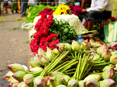 Mullick Ghat Flower Market