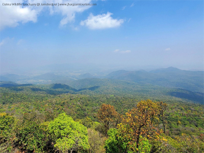 Dalma Wildlife Sanctuary