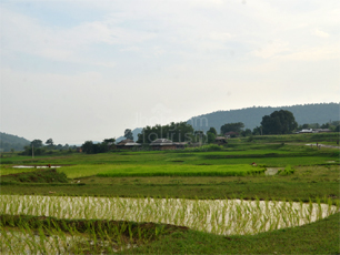 Tribal Village @ Belpahari