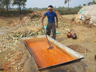 Making Date Palm Jaggery
