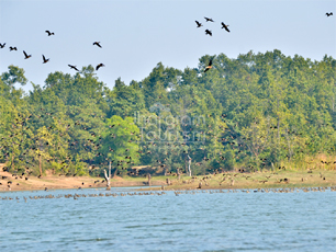 Migrating Birds @ Khandarani Lake