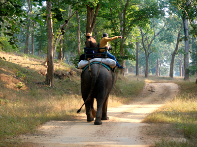 Ranchi-Netarhat-Betla